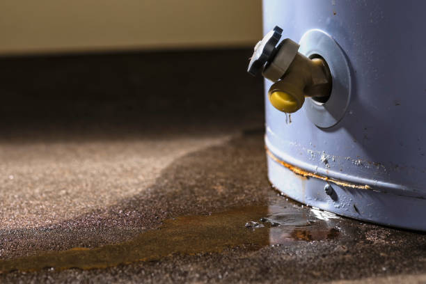 Best Water damage contractors near me  in Central Heights Midland City, AZ