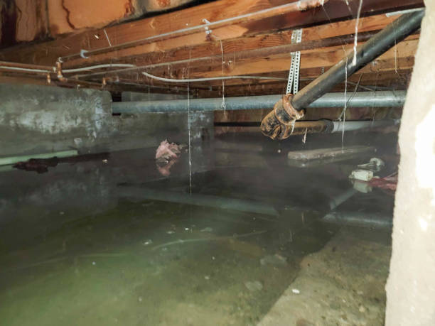 Best 24/7 water damage repair  in Central Heights Midland City, AZ