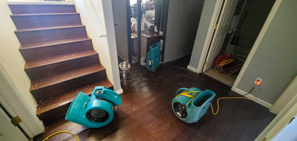 Best Basement water damage restoration  in Central Heights Midland City, AZ