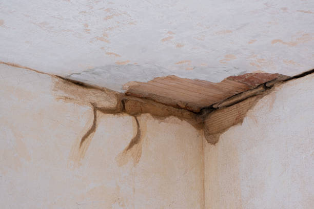 Water damage restoration mold remediation in Central Heights Midland City, AZ