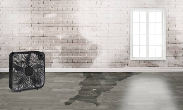 Water damage restoration experts in Central Heights Midland City, AZ