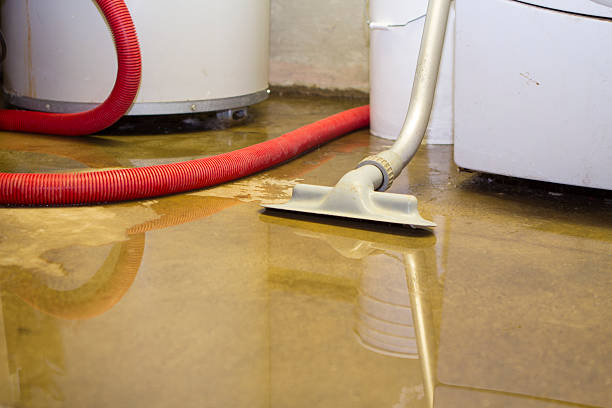 Best Fire Damage Restoration  in Central Heights Midland City, AZ
