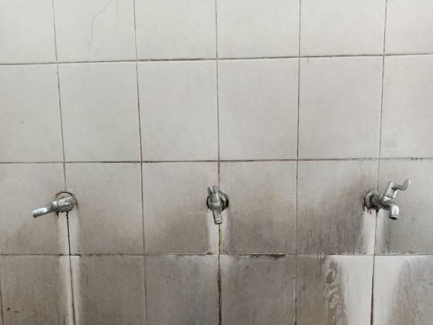 Best Professional water damage repair  in Central Heights Midland City, AZ