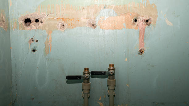 Best Flood restoration services  in Central Heights Midland City, AZ
