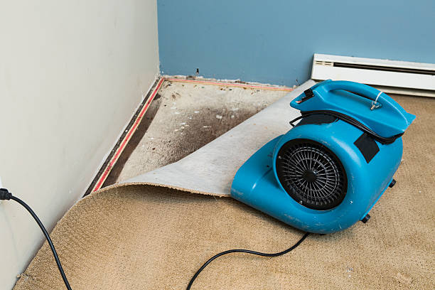 Best Carpet water damage restoration  in Central Heights Midland City, AZ